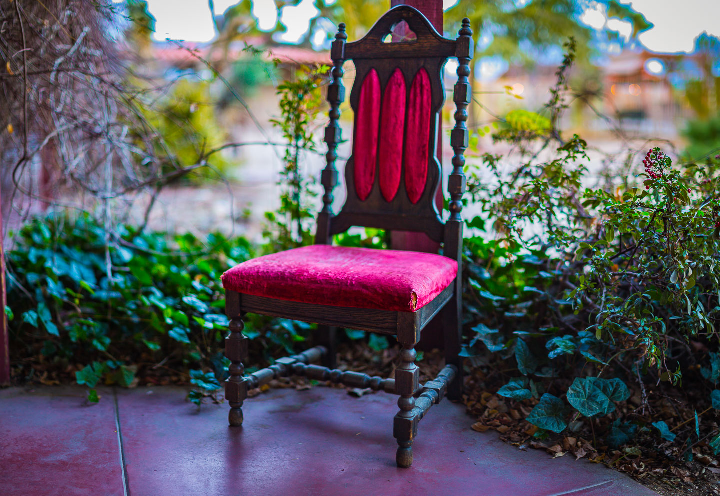 A photo of s chair with plants on both sides. 